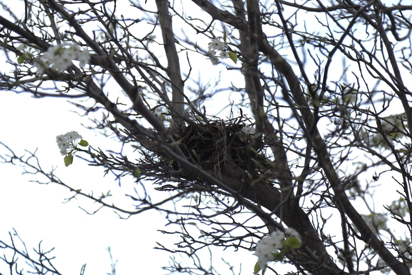 Barrios de Salamanca: Vistahermosa