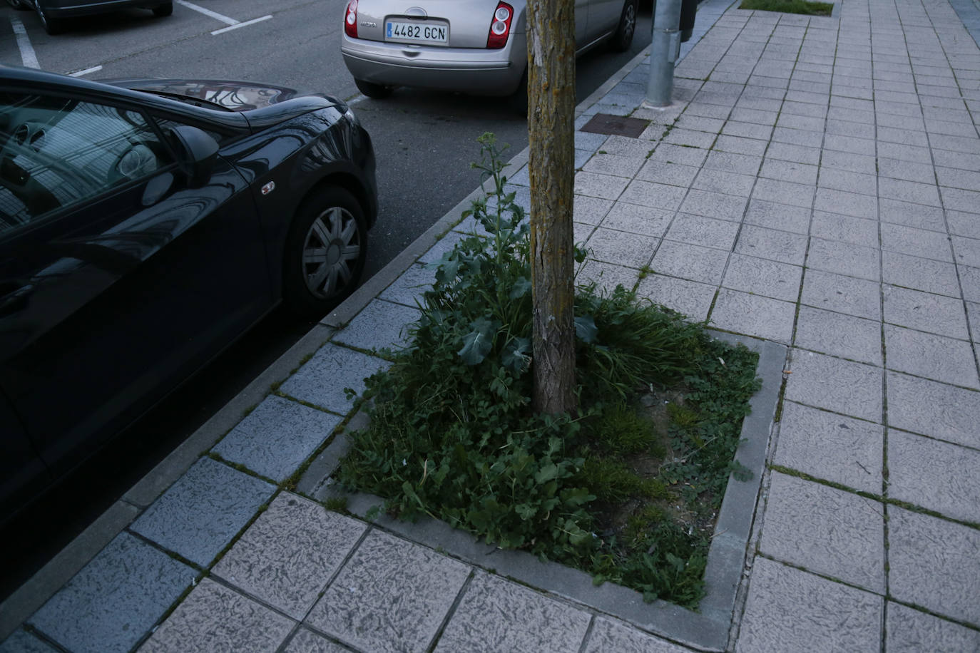 Barrios de Salamanca: Vistahermosa