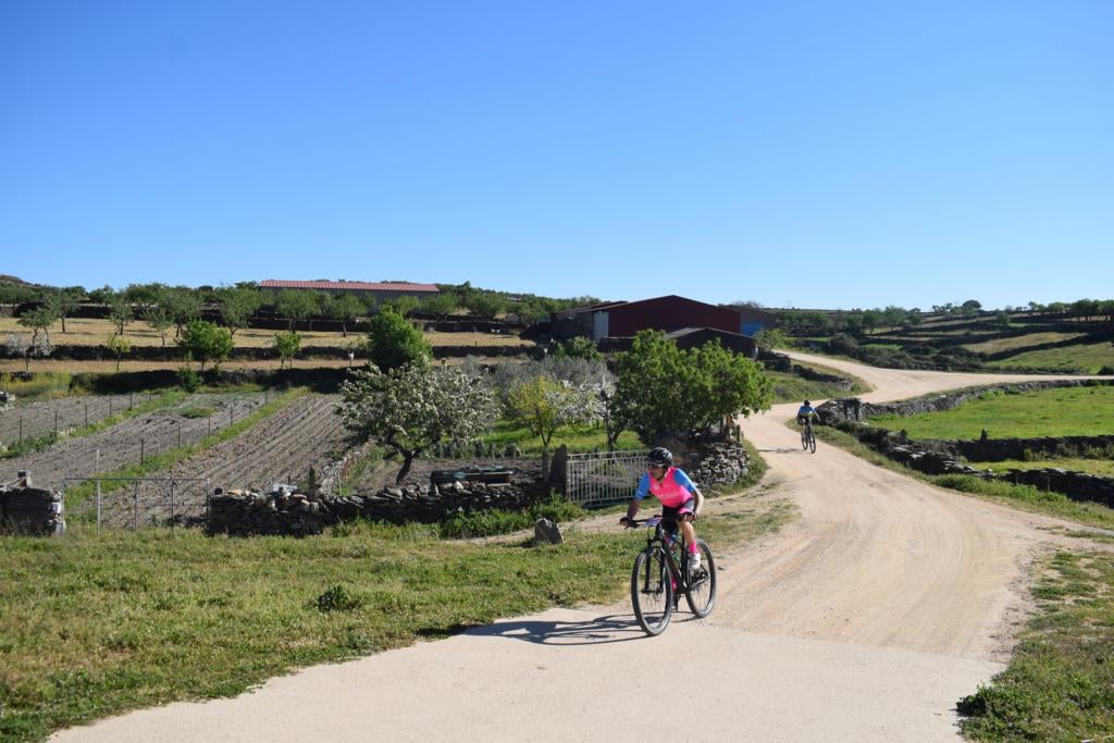 Vilvestre celebra la II Vilvestre Infierno Verde BTT