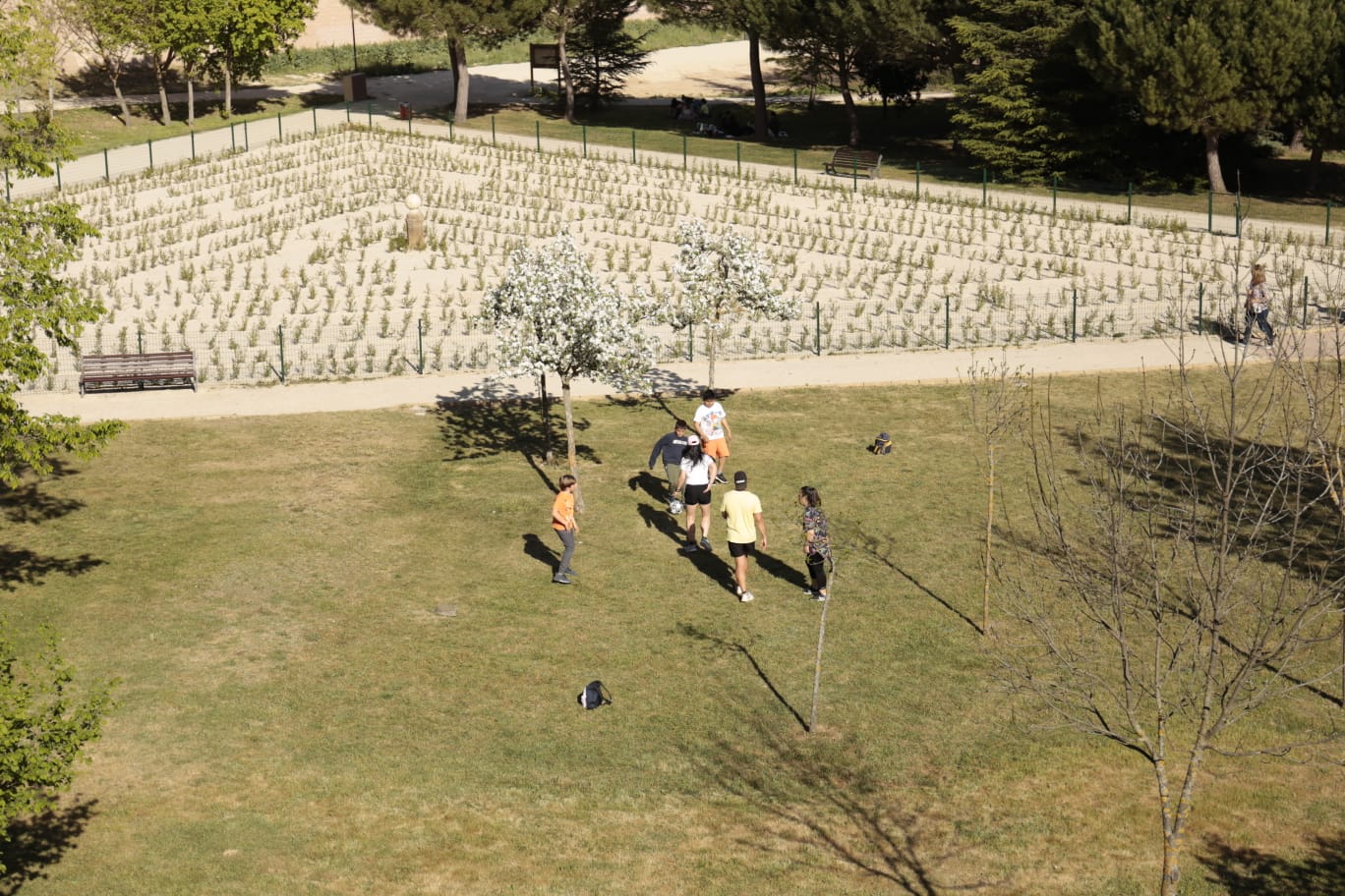 Animada tarde de Lunes de Aguas con algunos incidentes sanitarios