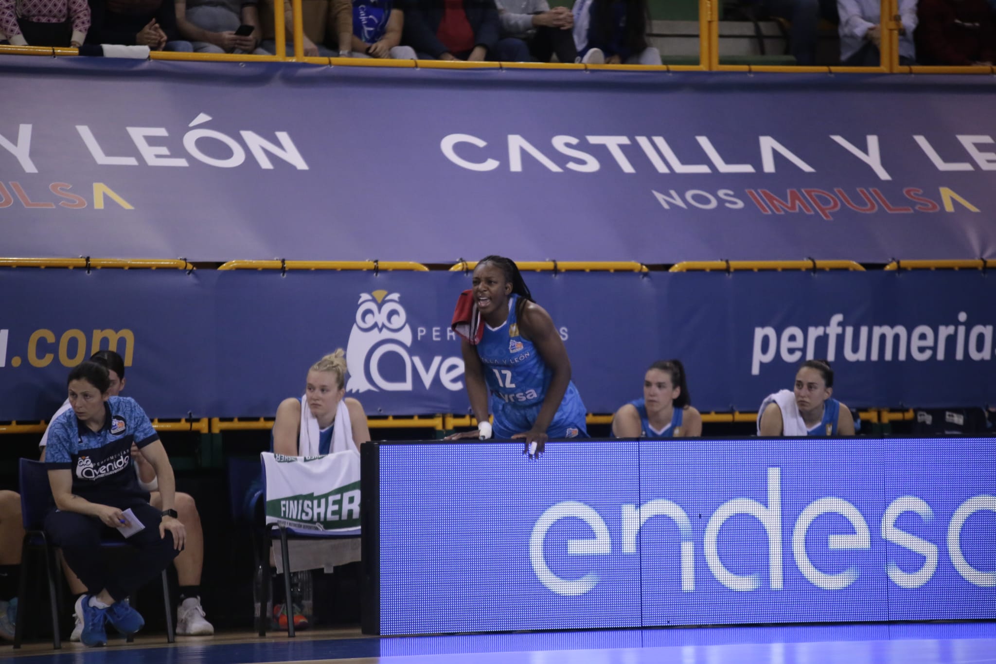 Avenida vence con comidad a Cadí La Seu para acceder a semis