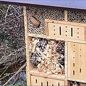 El pueblo de Salamanca que da la bienvenida a los insectos en un hotel
