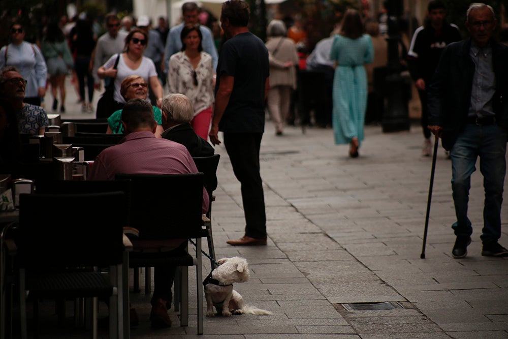 Otra mirada a Salamanca. La admirada Plaza Mayor