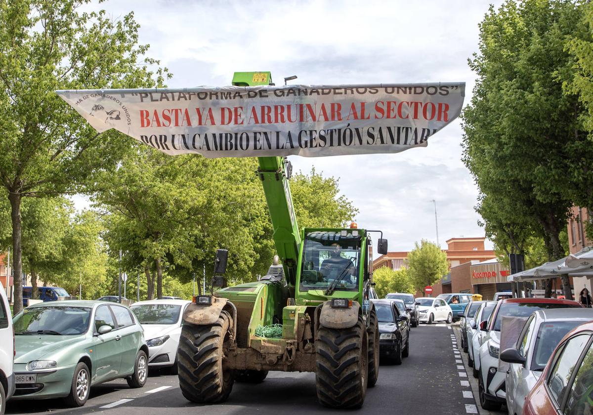 Cientos de ganaderos de Salamanca paralizan la ciudad para reclamar «vivir con dignidad»