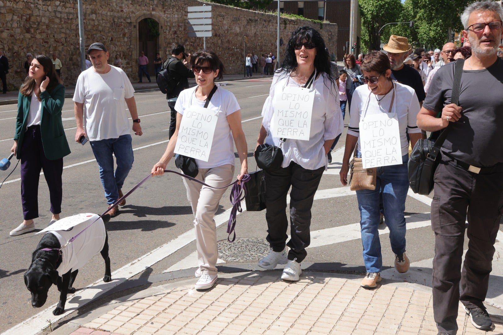 Salamanca se tiñe de blanco en defensa de la Sanidad pública