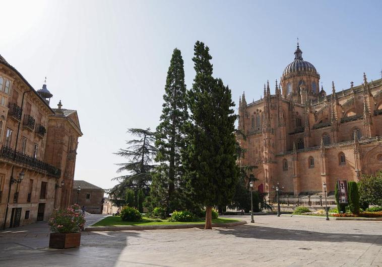Semana de bajada de temperaturas en Salamanca