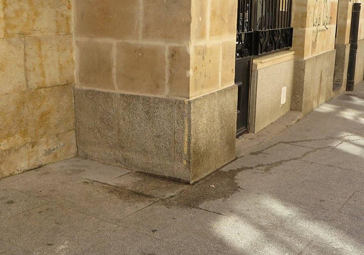 Meada en una esquina denunciada por Ciudadanos por la Defensa del Patrimonio.