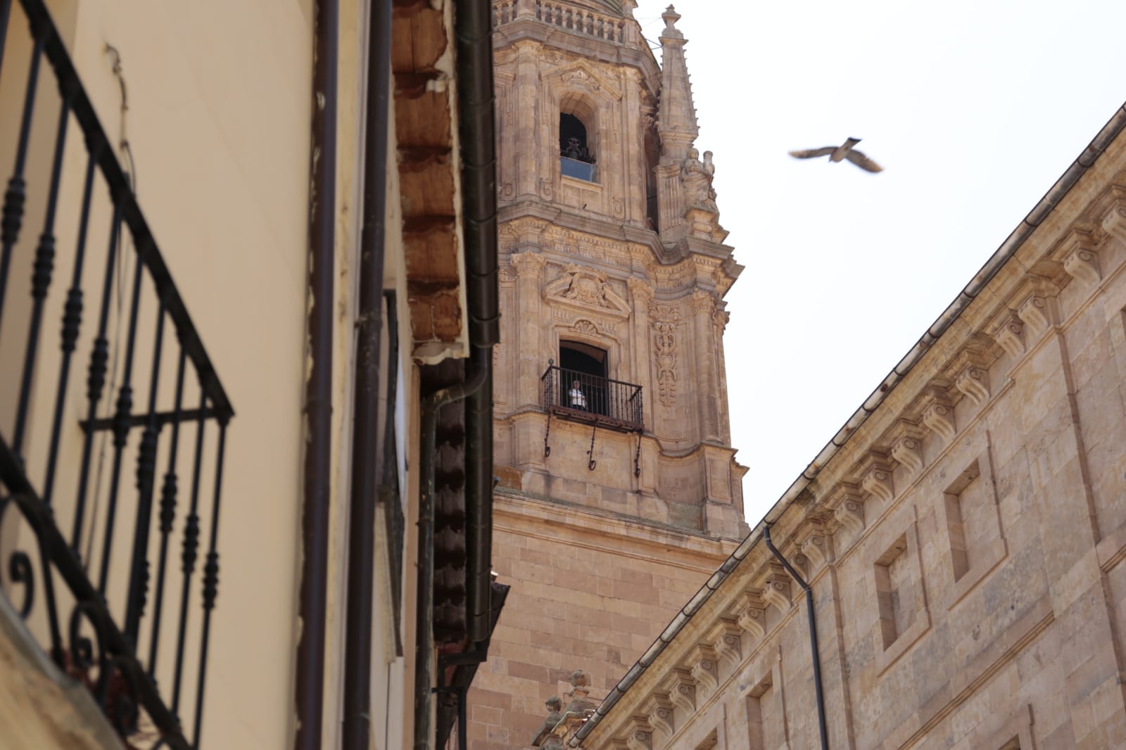 Día Internacional de los Museos en Salamanca