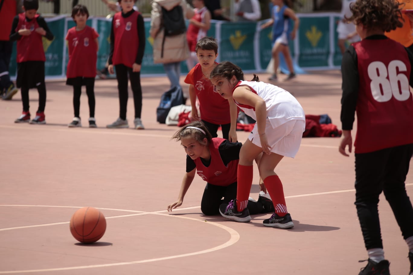 El Día del MiniBasket reúne a 800 chavales en Jesuitas
