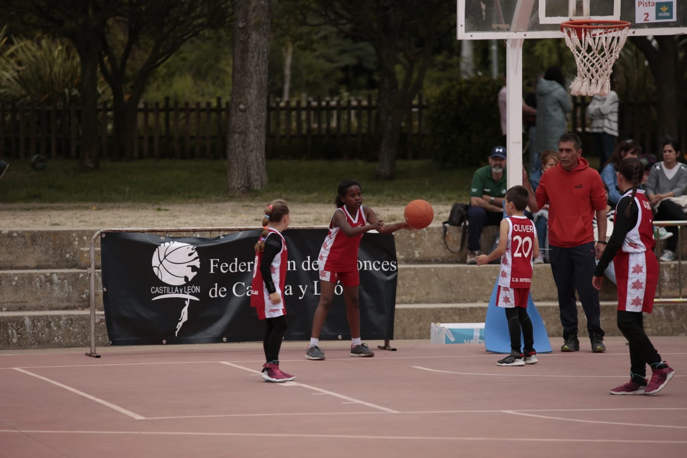 El Día del MiniBasket reúne a 800 chavales en Jesuitas