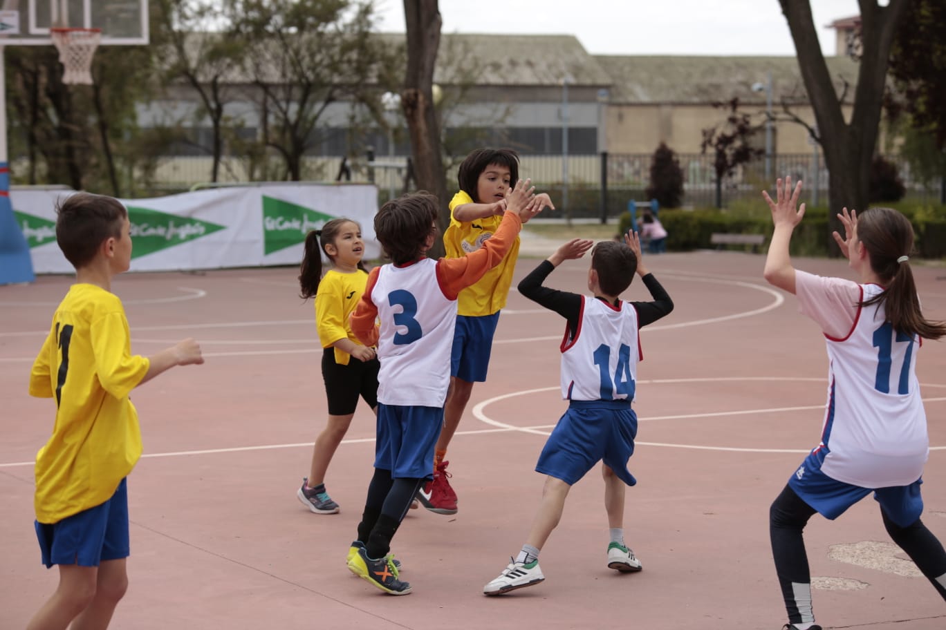 El Día del MiniBasket reúne a 800 chavales en Jesuitas