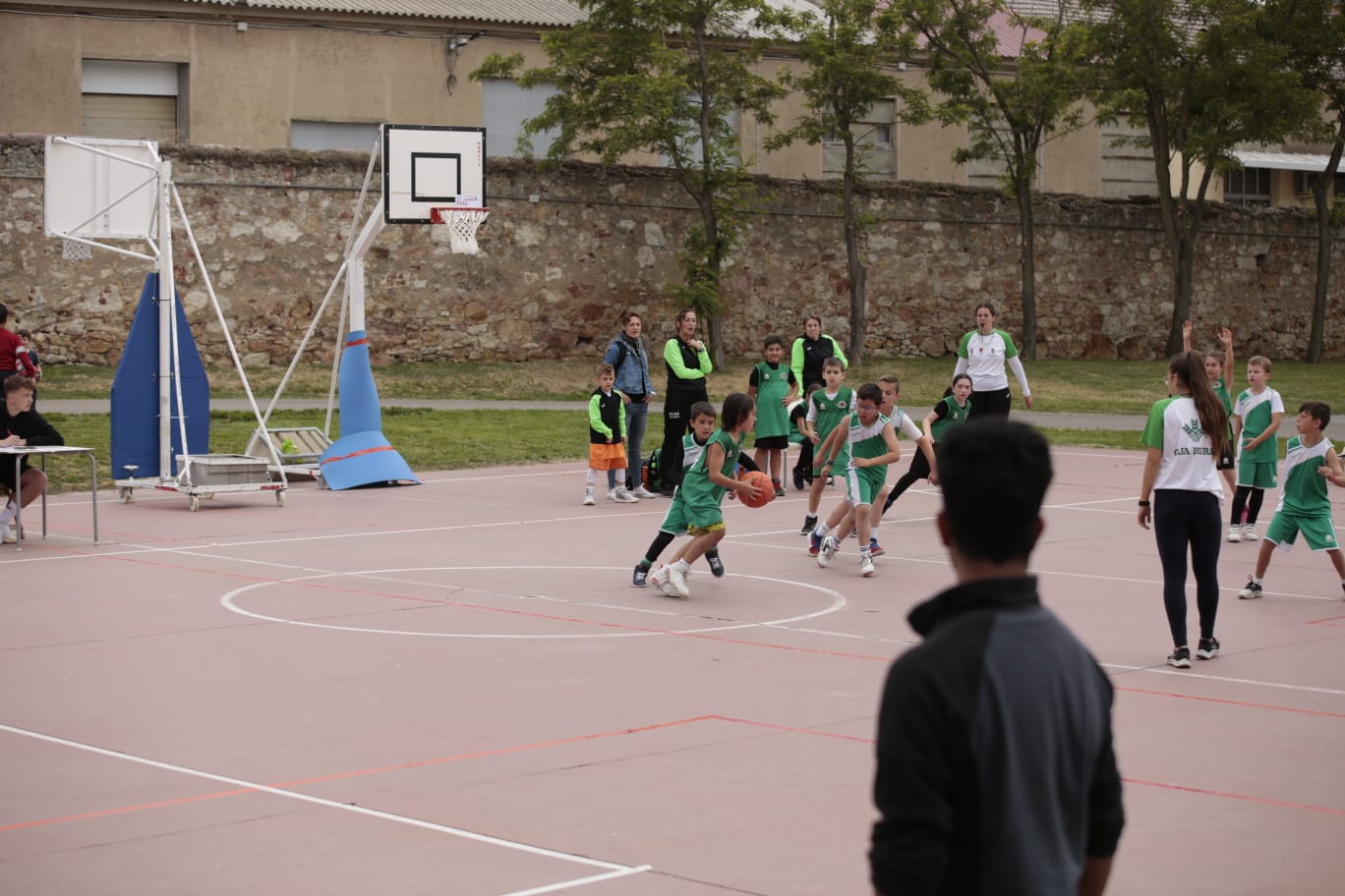 El Día del MiniBasket reúne a 800 chavales en Jesuitas