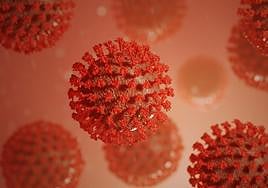 Un estudio con participación salmantina revela 49 variantes genéticas que predisponen a sufrir Covid grave