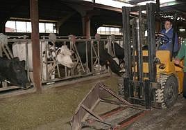 Explotación ganadera.