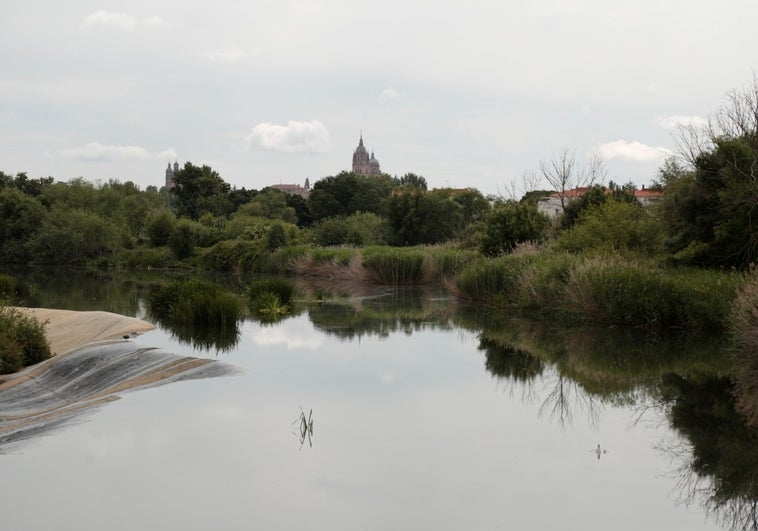 Vista del río Tormes, con la Catedral al fondo, desde la pasarela de Tejares.