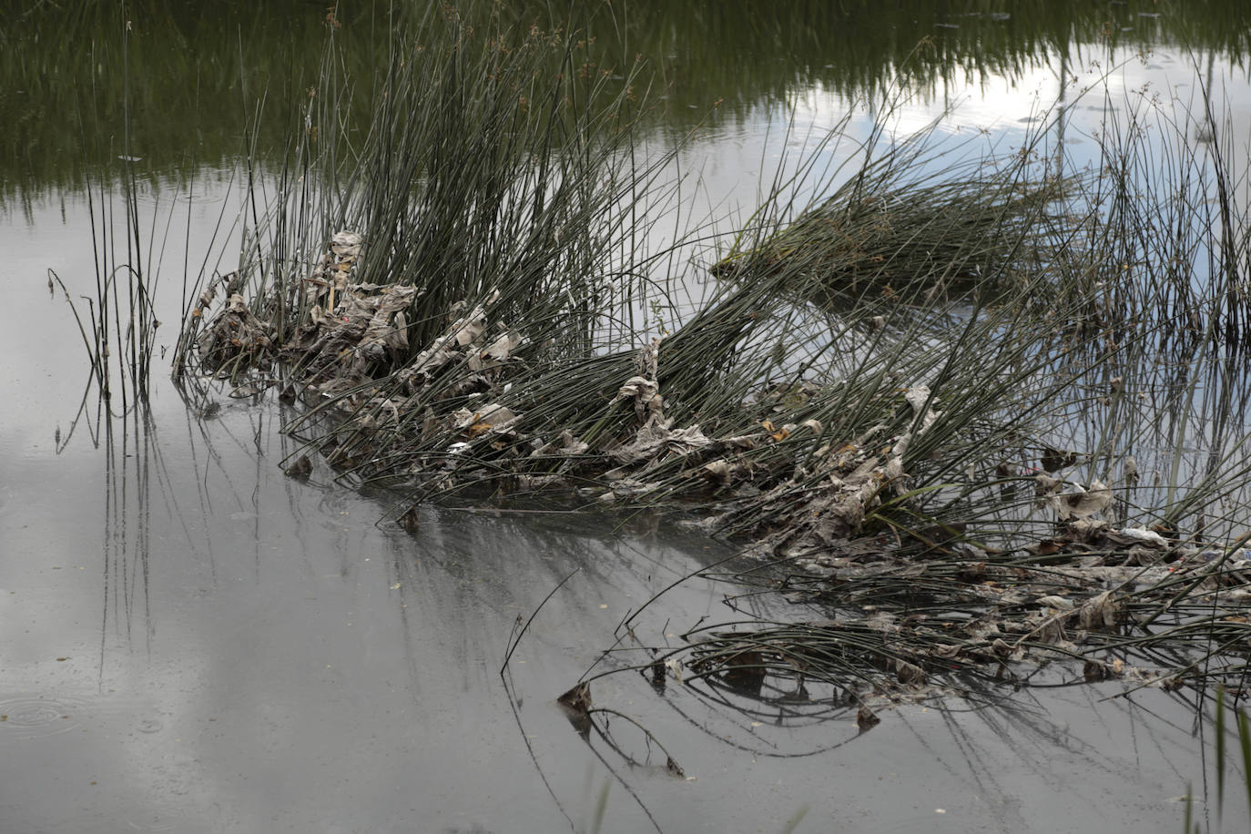 Recorrido por la ribera del río Tormes