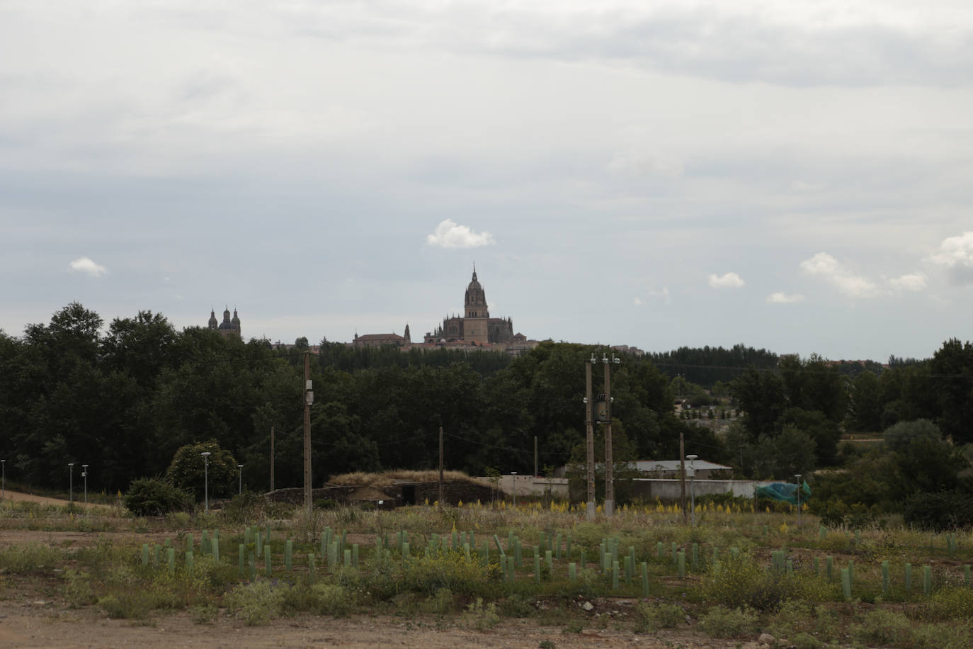 Recorrido por la ribera del río Tormes