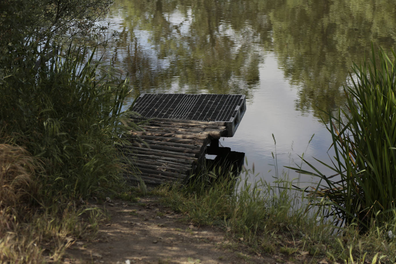 Recorrido por la ribera del río Tormes