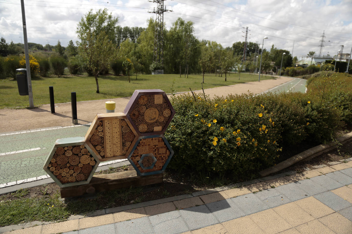 Recorrido por la ribera del río Tormes