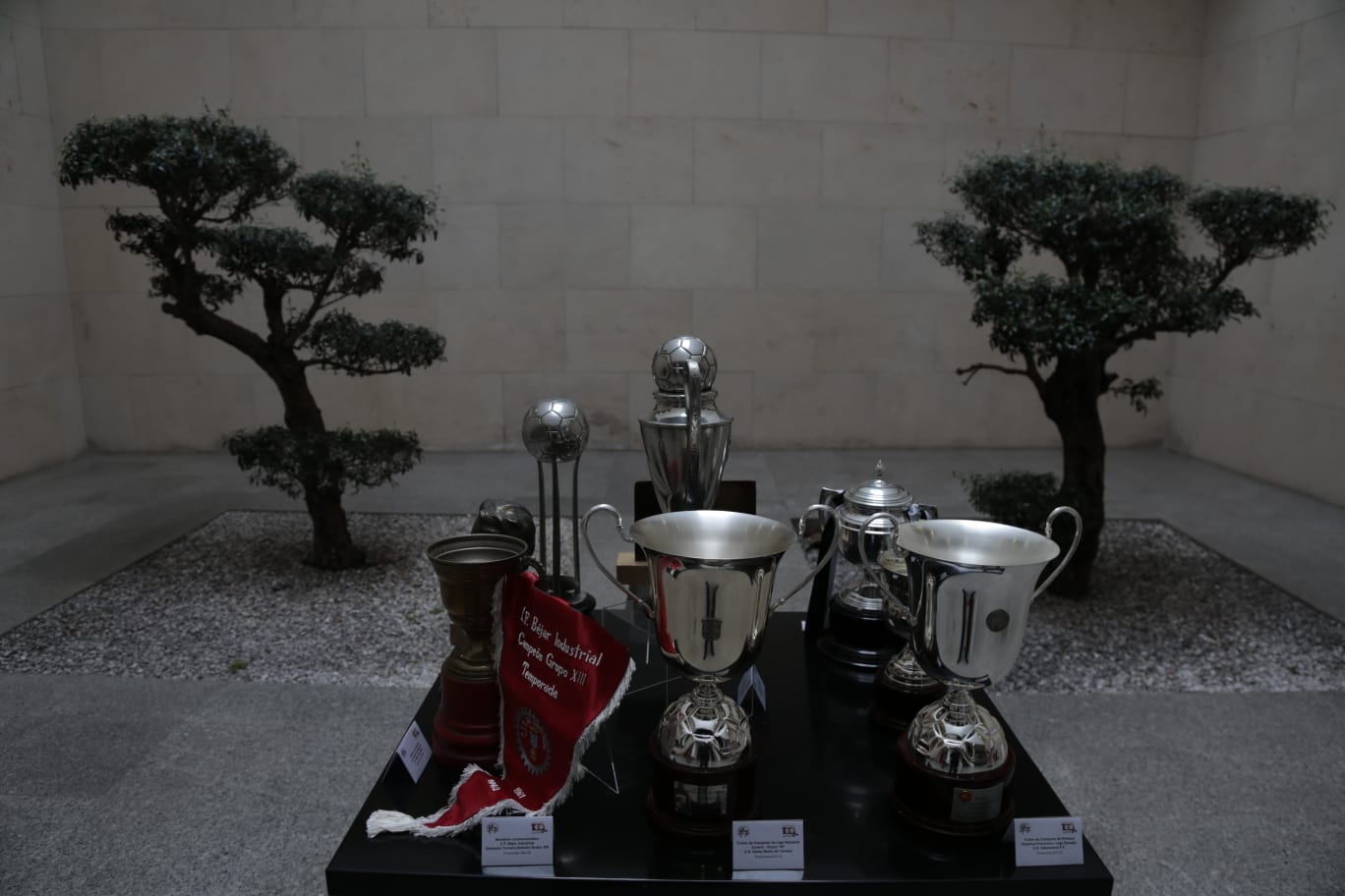 El Centenario de la FCyLF se celebra en Salamanca