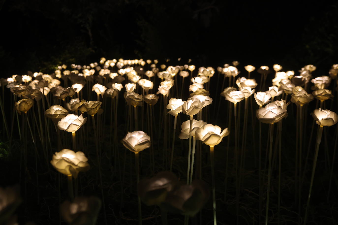 Tercera jornada del Fàcyl en Salamanca