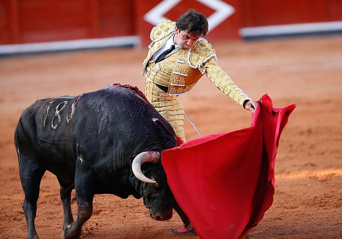 Juan del Álamo durante una faena.