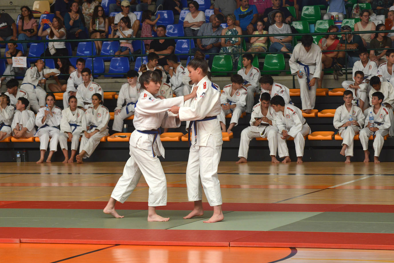 Fin de curso del Judo Club Doryoku