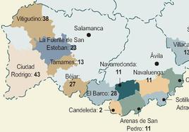 El jabalí y el riesgo de tuberculosis ponen en jaque a 144 municipios de Salamanca