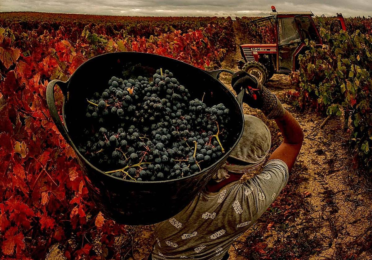 Fotografía titulada 'Con el capazo'.