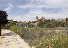 Zonas verdes en Salamanca.