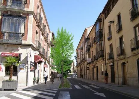 Imagen secundaria 1 - Así adapta Salamanca sus calles a un futuro de altas temperaturas