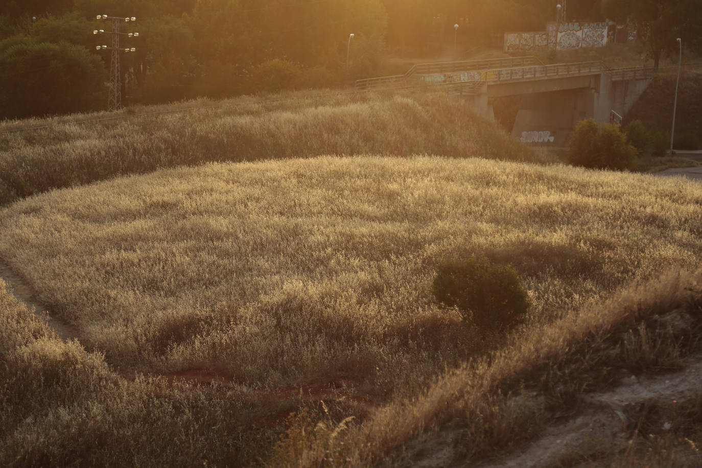 Los mejores atardeceres en Salamanca