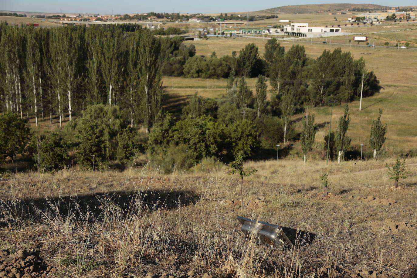 Al rescate de los árboles de El Zurguén