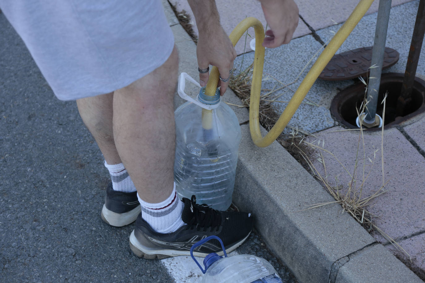Al rescate de los árboles de El Zurguén
