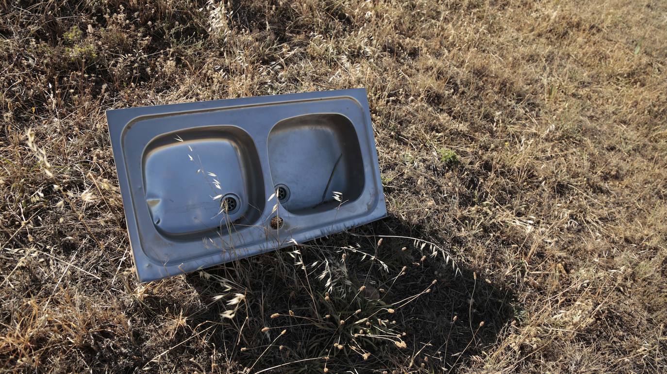 Al rescate de los árboles de El Zurguén