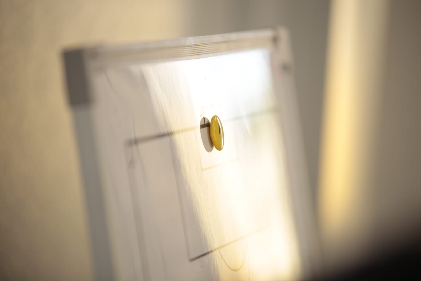 Unionistas presenta a Manu Ramírez, Camus, Iván Martínez y Erik Ruiz