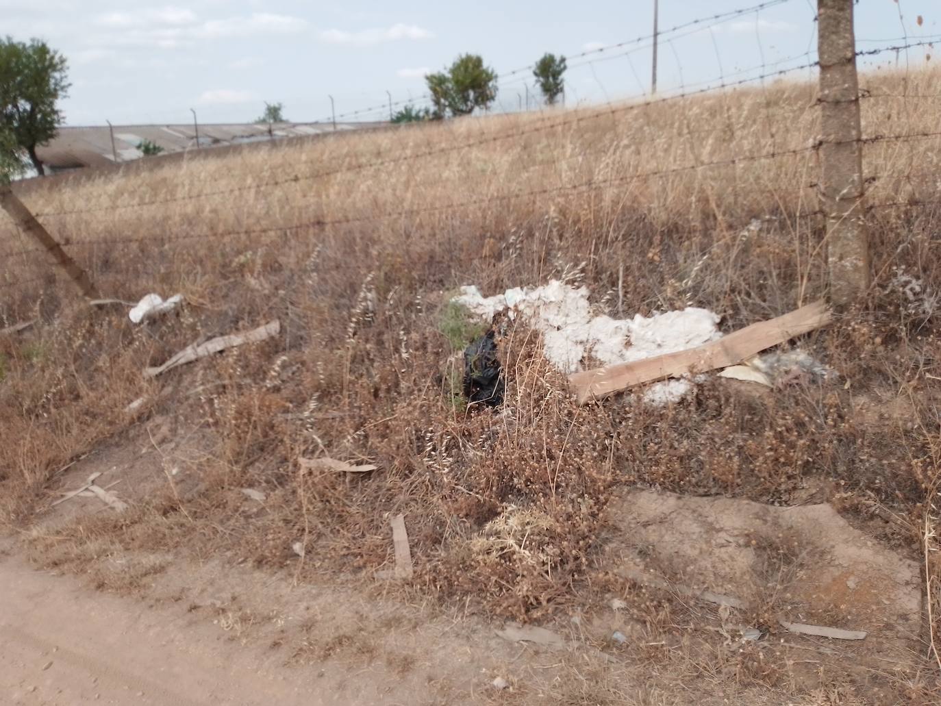 Aparece más basura en el zona de Tejares