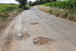 Aspecto que presenta el camino, lleno de baches y socavones en todos sus tramos