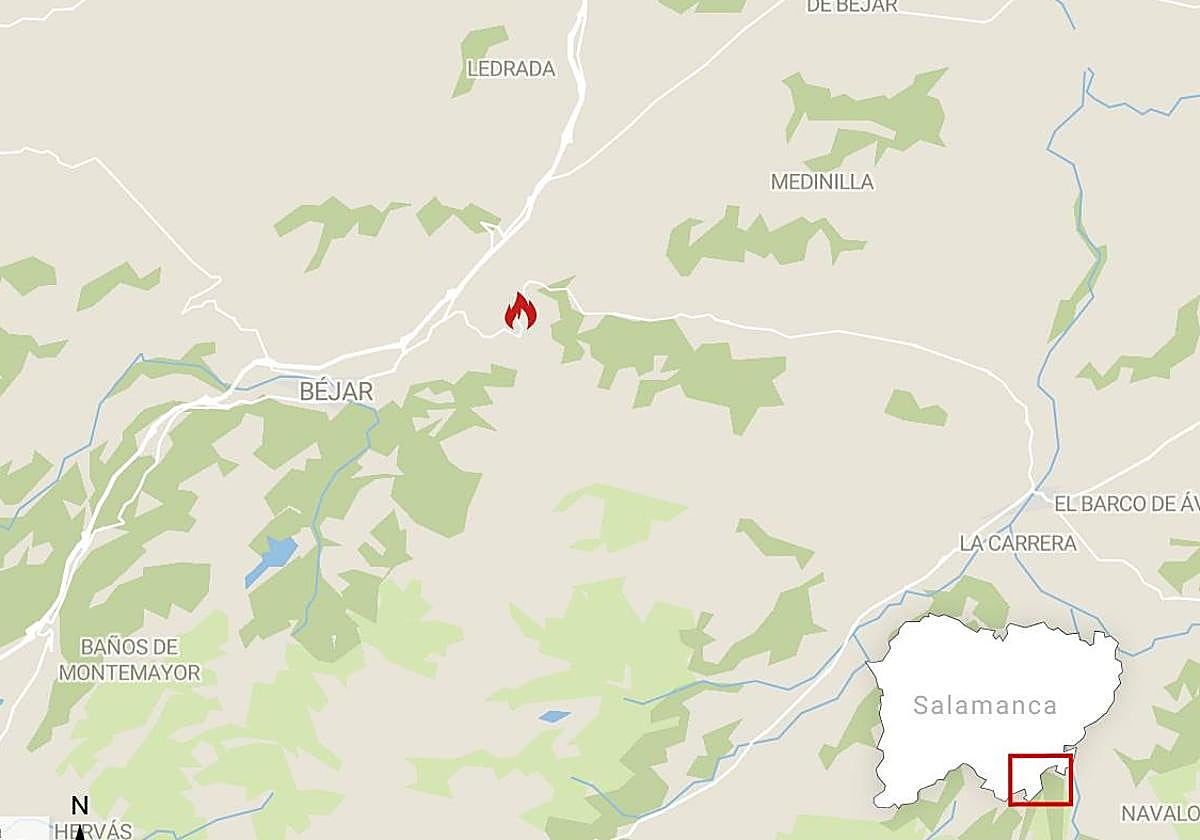 Controlado el incendio forestal en La Hoya provocado por una línea eléctrica