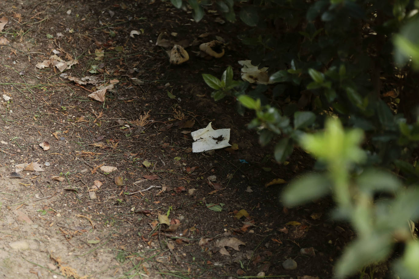 Huerta Otea, un parque con mucha vida y grandes inversiones