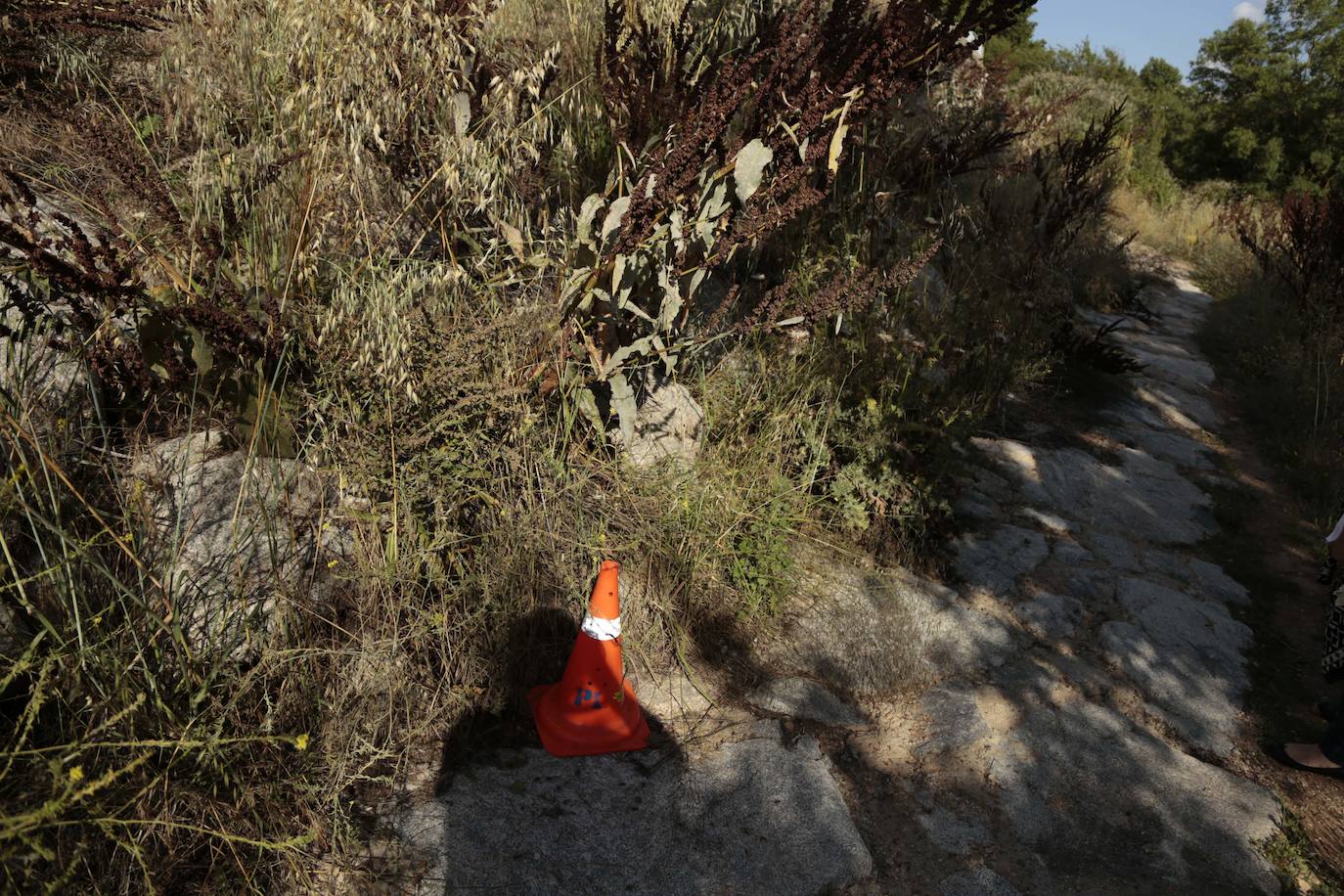 Huerta Otea, un parque con mucha vida y grandes inversiones