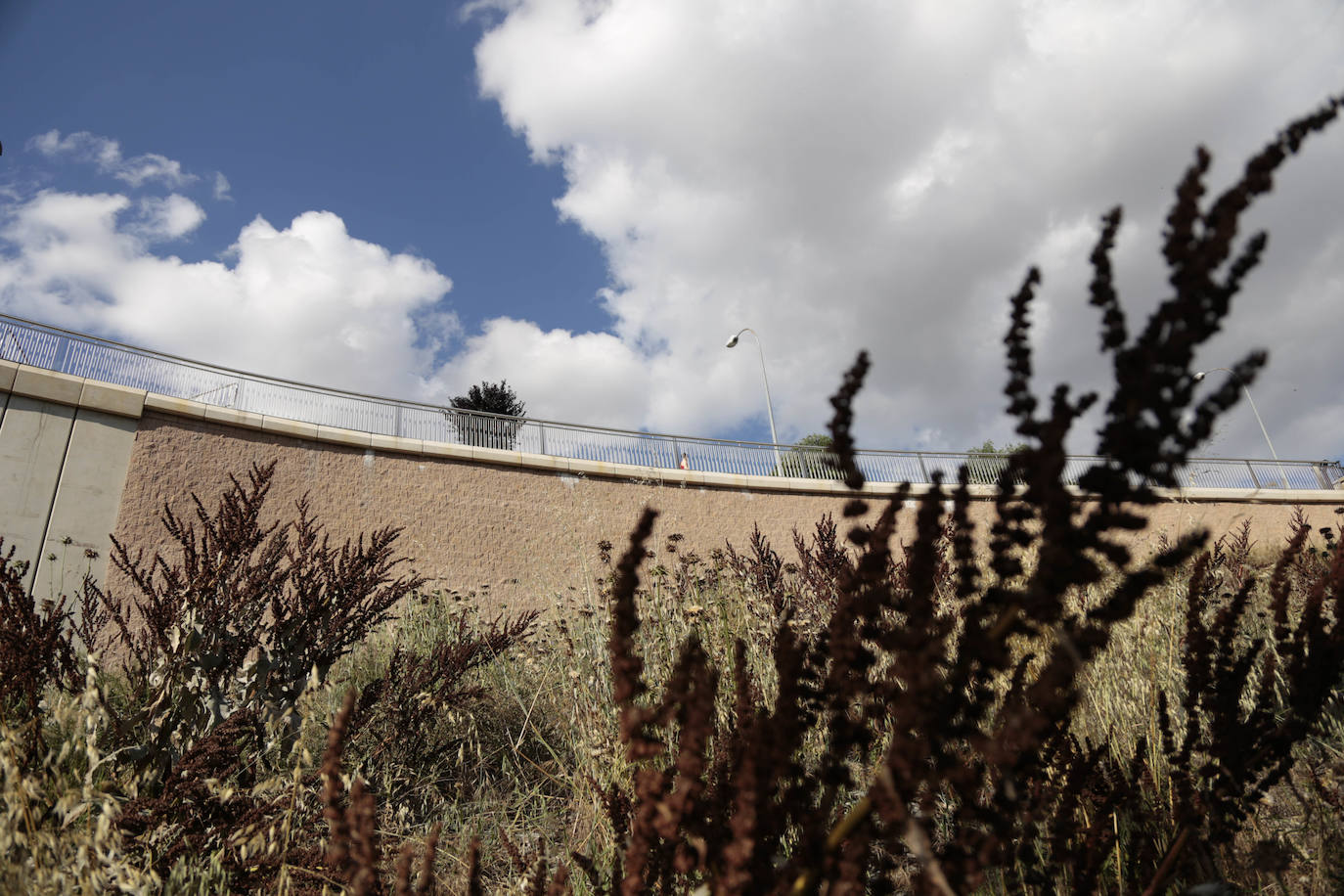 Huerta Otea, un parque con mucha vida y grandes inversiones