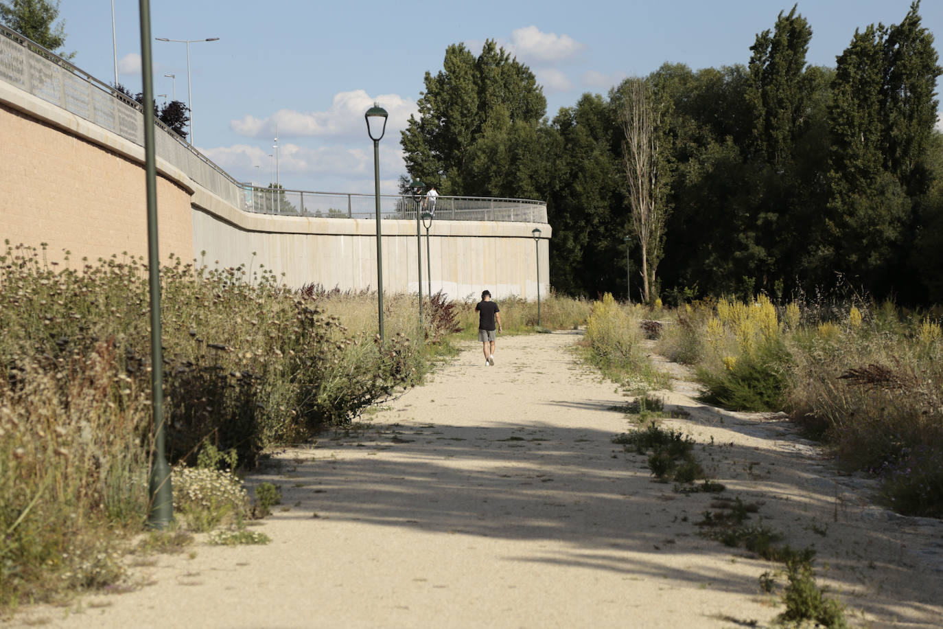 Huerta Otea, un parque con mucha vida y grandes inversiones