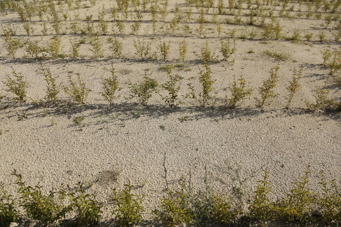 Huerta Otea, un parque con mucha vida y grandes inversiones