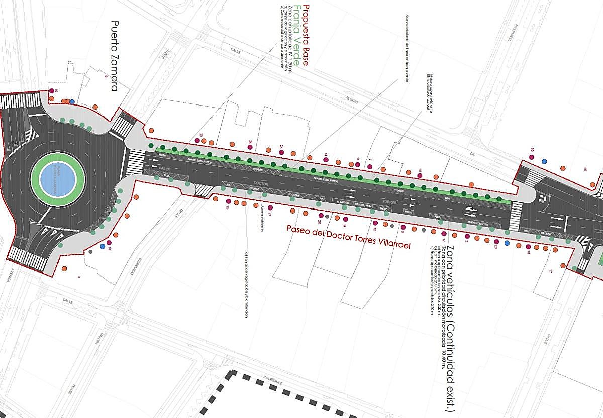 Salamanca licita las obras de reverdecimiento del Paseo del Doctor Torres Villarroel