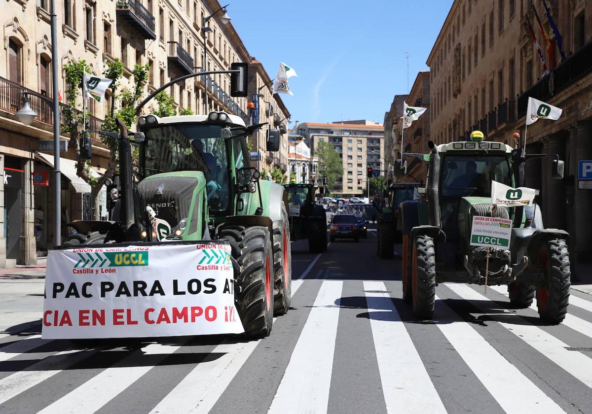 Los ganaderos de Salamanca se ven «desatendidos» por la Junta en sanidad animal