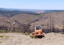 Maquinaria en una ladera cerca del paso de Los Lobos, entre la Peña de Francia y Monsagro
