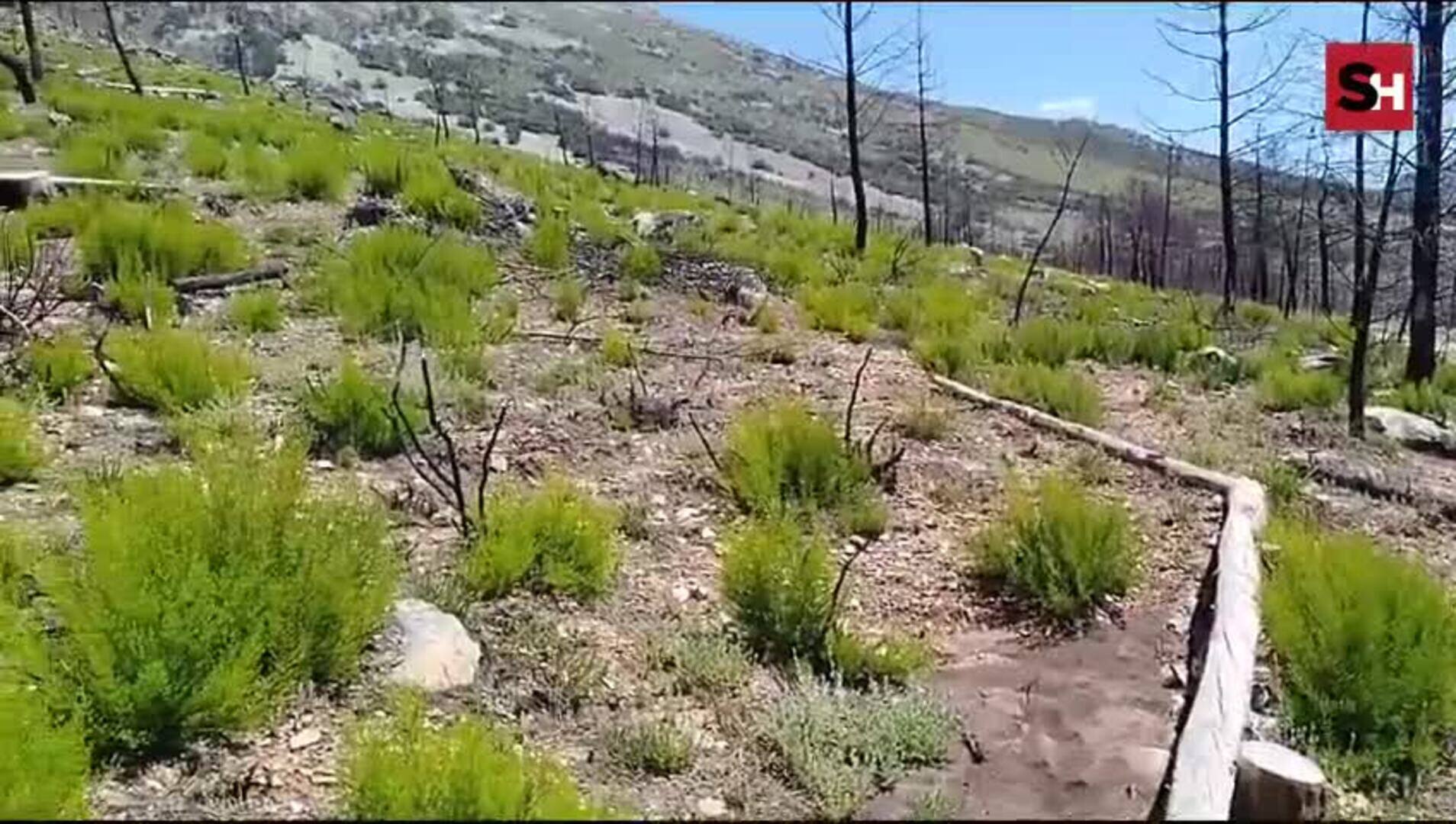 Monsagro, un año después del devastador incendio