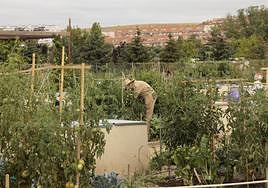 Vista de los Urbanos de Salamanca