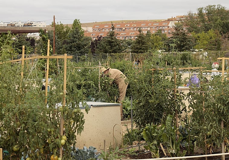 Vista de los Urbanos de Salamanca